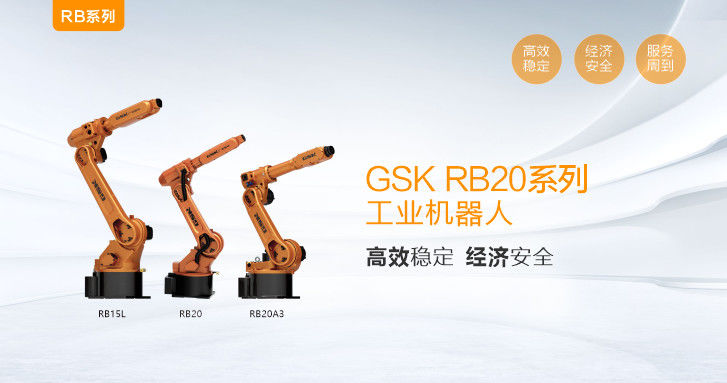 6개의 축선 산업 로봇 팔 로봇식 조종자 팔 GSK RB 시리즈 GSK RB20